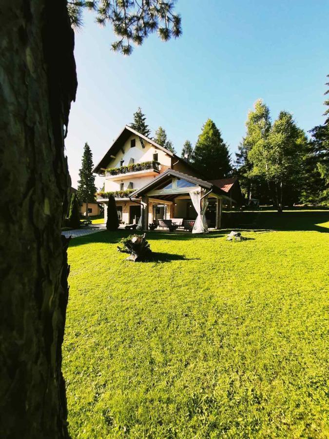 Guest House Colovic زلاتيبور المظهر الخارجي الصورة